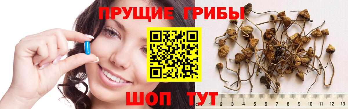 Домодедово  даркнет сайт  Вход с VPN  Галлюциногенные грибы мухоморы 